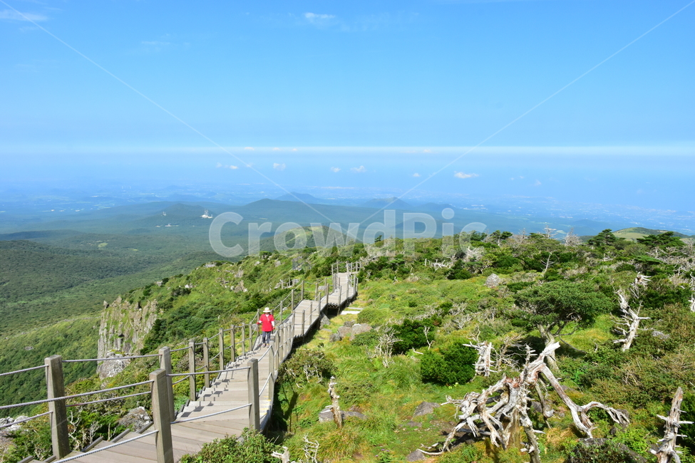 영실,한라산,제주,기암괴석,절경,자연,풍경,힐링,여름,계절,탐방,등산,season,nature,landscape,한국자연풍경,한국자연경관,korea,naturelandscape,제주도,jeju,jejuisland,자연,풍경,nature,landscape,한국자연풍경,한국자연경관,korea nature landscape,제주도,jeju,jeju island,outdoors,옥외,scenery,경치,handrail,난간,banister