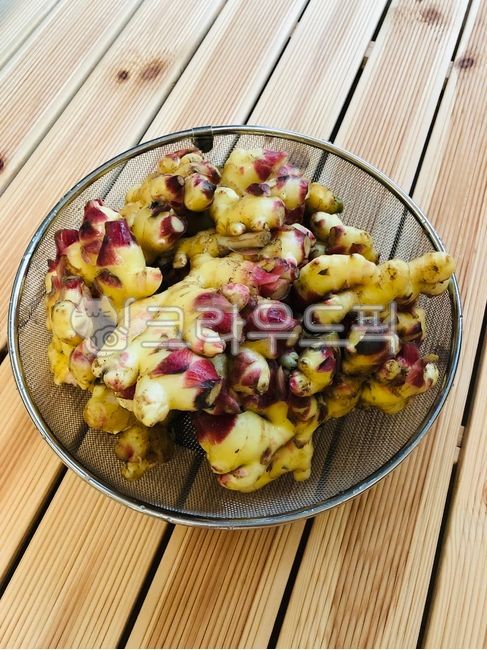 생강,안동생강,국산생강,흙생강,햇생강,싱싱한,신선한,식자재,식재료,자연,Ginger,AndongGinger,DomesticGinger,SoilGinger,FreshGinger,Fresh,FoodIngredients,Ingredients,Nature