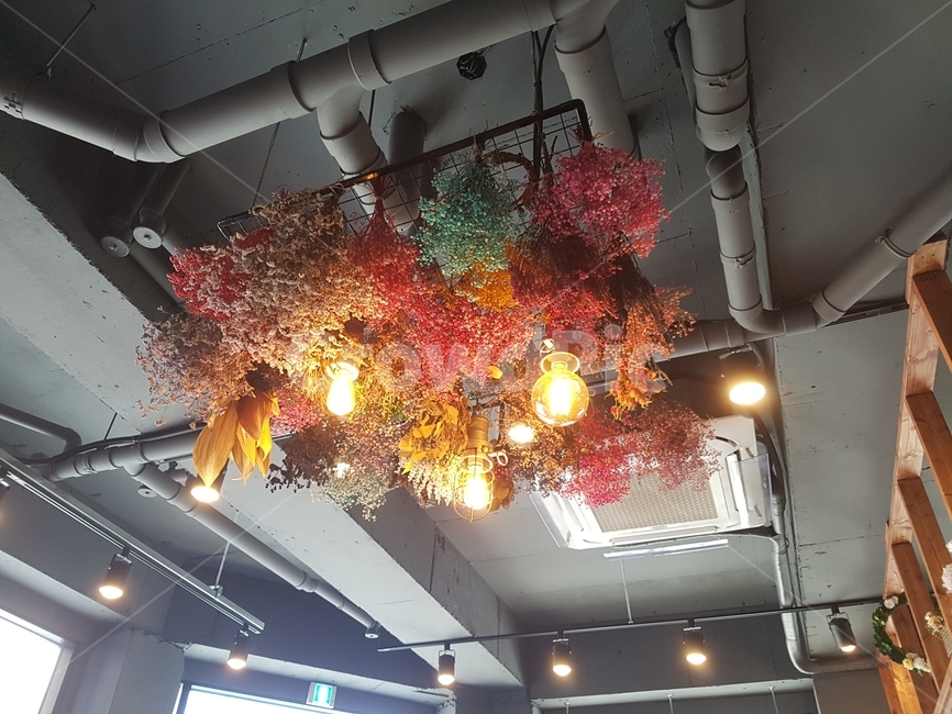플라워,드라이플라워,드라이,꽃,천장인테리어,인테리어,실내디자인,interior design