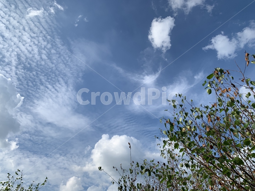 하늘,자연,풍경,구름,날씨,바람,맑음,흐림,sky,nature,view,cloud,weather,wind,landscape,outdoors,옥외,cumulus,적운,azuresky,푸른하늘