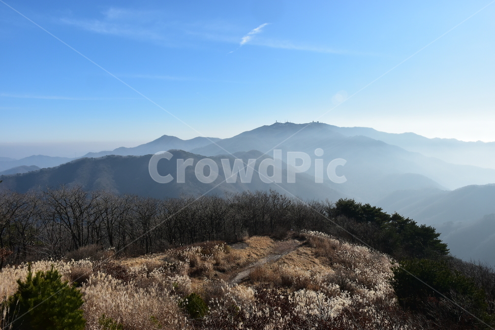 유명산,마유산,억새,가을,풍경,자연,하늘,감성,힐링,아름다운,가을,계절,fall,autumn,season,자연,풍경,nature,landscape,outdoors,옥외,mountain range,산맥,mountain,산
