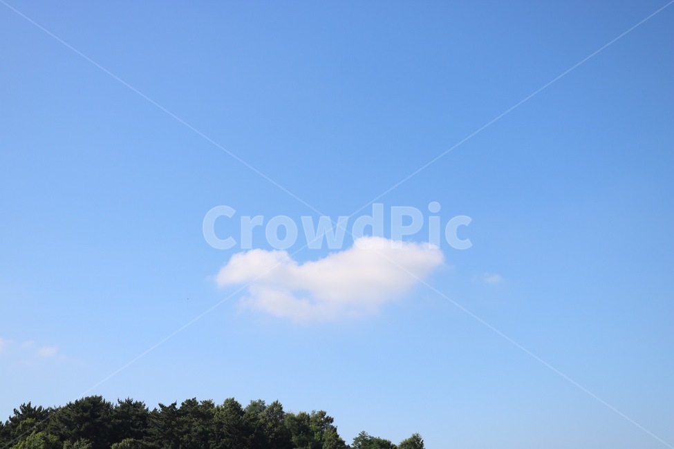 자연,하늘,구름,나무,초록,식물,흰색,nature,sky,sora,cloud,kumo,tree,ki,green,midori,plants,shokubutsu,white,shiro,자연,풍경,nature,landscape,outdoors,옥외
