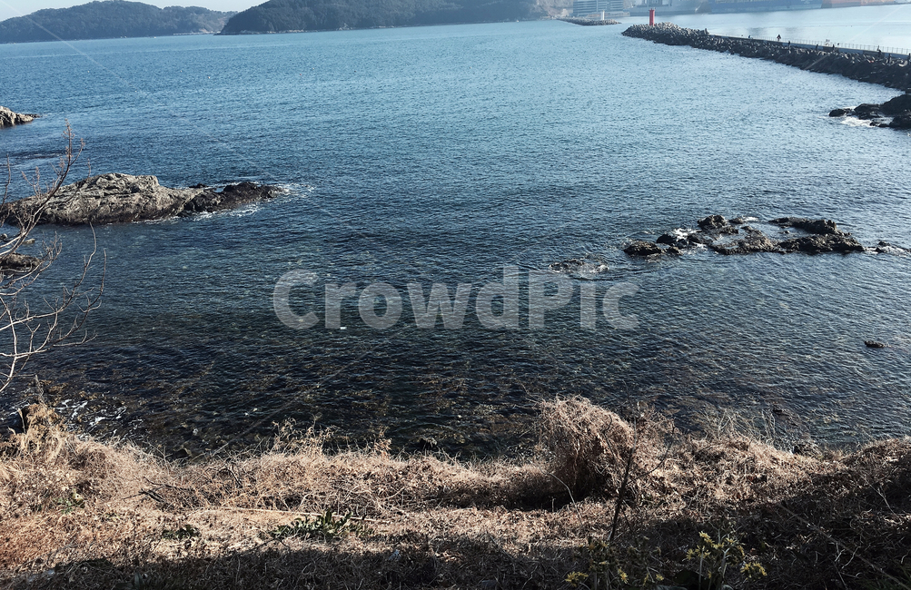 ocean,sea,바다,거제바다,거제도