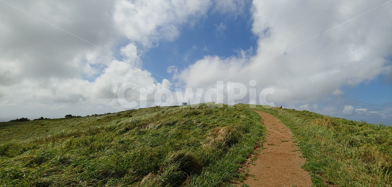 구름,산,올래길,언덕,오름,field,들,outdoors,옥외,grassland,목초지,slope,경사,자연,풍경,nature,landscape
