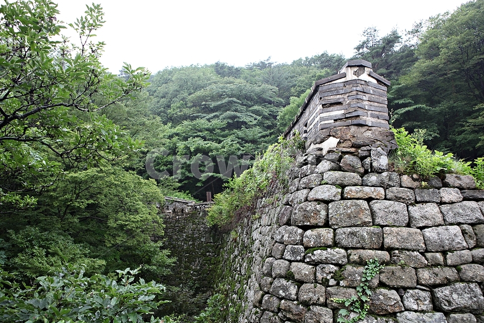 남한산성,성,성곽,길,둘레길,벽,숲,숲길,담,돌담,여름,풍경