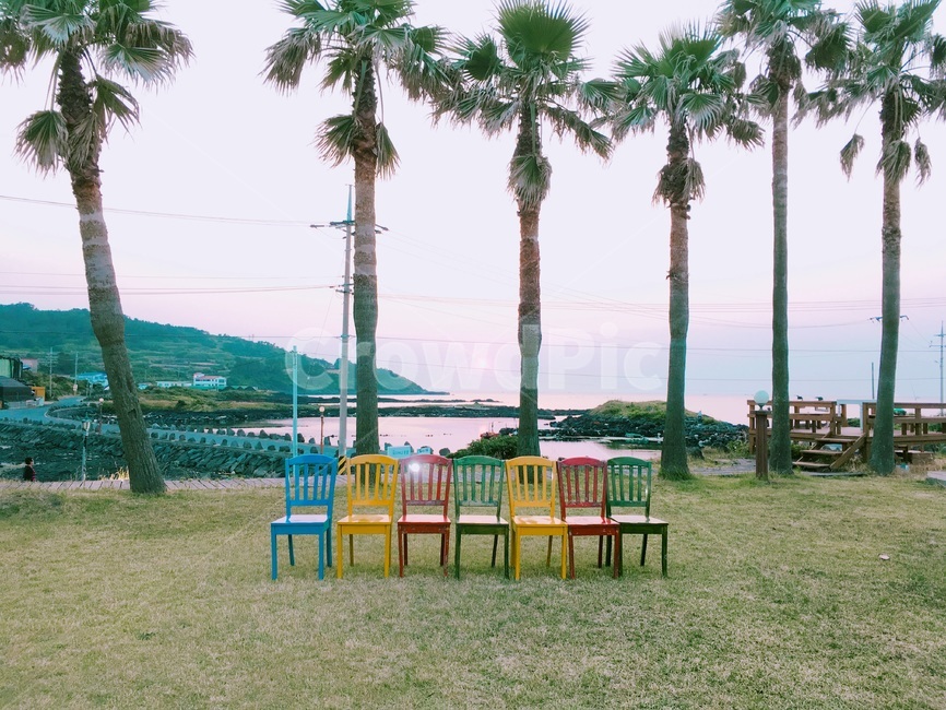 잔디,plant,식물,chair,의자,가구,furniture