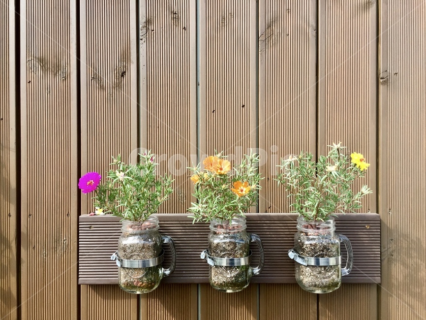 채송화,병장식,유리병,벽장식,밴딩,식물,자연,plants,nature,꽃,flower