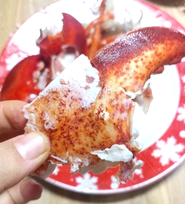 lobster,food,해산물,바닷가재,랍스터,해물,음식,수산물,해산물,fishery products,seafood