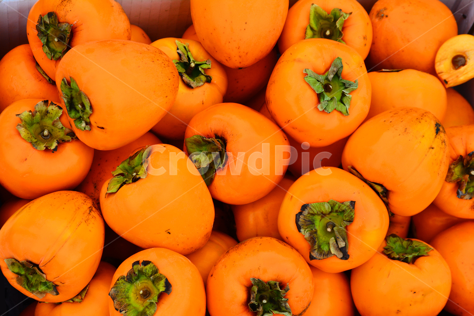감,과일,음식,식용,푸드,fruit,persimmon,대봉감,잘익은,풍성한,가득,꼭지,오렌지색,칼라,색감,배경,바탕,백그라운드,가을과일,토종과일,마트,과일가게,청과물