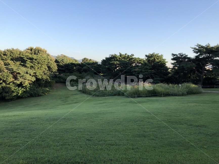 올림픽공원,공원,올림픽,서울,하늘,sky,park,자연,풍경,nature,landscape,plant,식물,grass,잔디,field,들,outdoors,옥외