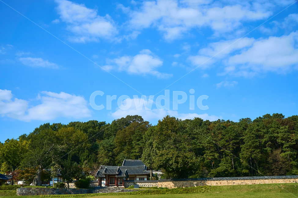 field,들,자연,grass,잔디,목초지,풍경,야외,grassland,nature,맑은,하늘,sky,배경,드넓은,가을하늘,광활한,가을날,자연,풍경,nature,landscape,outdoors,옥외,building,건물