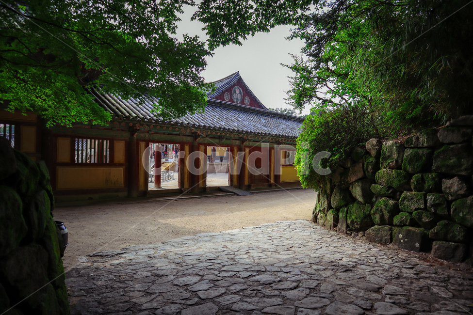 한국전통,절,사찰,전통건축,길,emotional,sensible,한국전통,한국문화,korean traditional,korean culture,건축물,건물외관,exterior,building,structure,architecture,construction