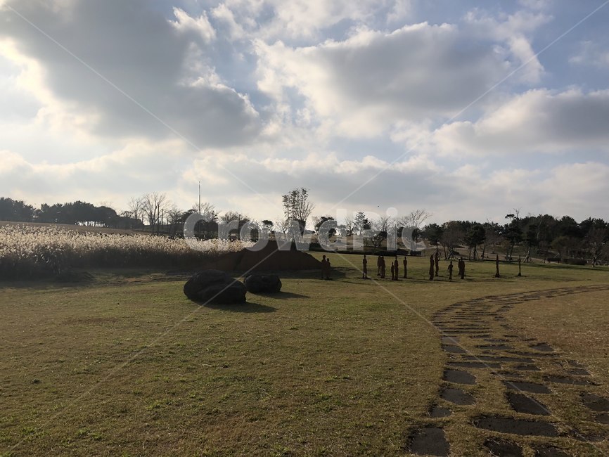 field,들,outdoors,옥외,하늘,제주도