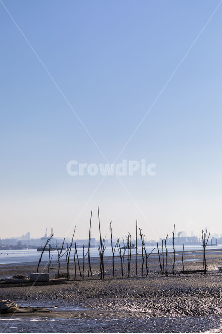 어구,갯벌,바닷가,영종도,풍경,환경,자연,풍경,nature,landscape,해변,바다,beach,sea