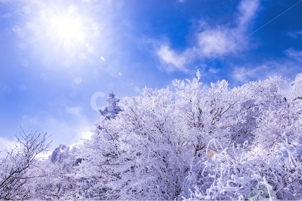 겨울,겨울산행,눈꽃,눈,snow,snowflower,태백산,하늘,나무,겨울나무,겨울,계절,winter,season,자연,풍경,nature,landscape,outdoors,옥외
