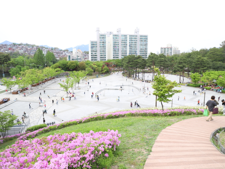나무,꽃,초록,핑크,벚꽃,숲,숲속,사람들,자연,하늘,건물,빌딩