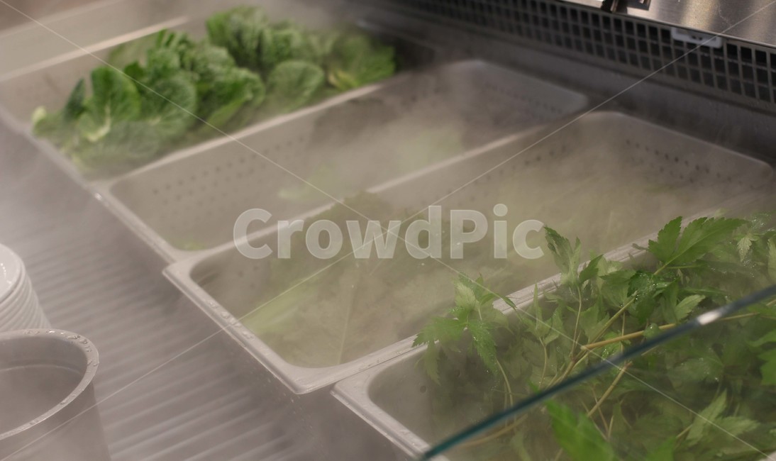 야채,쌈,쌈채소,상추,깻잎,음식,식재료,요리,food,cook,meal,dishes,food reserves,채소,야채,vegetables