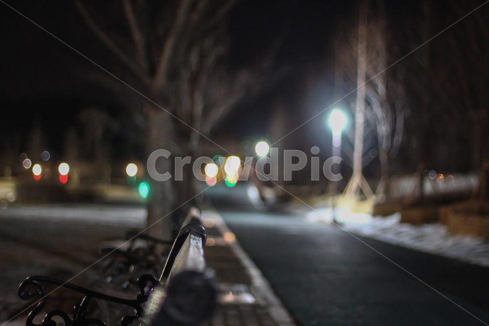 밤풍경,nightview,공원,벤치,의자,가로등,나무,보케,감성,감성사진,야경,밤,풍경,nightscape,night,landscape,asphalt,아스팔트