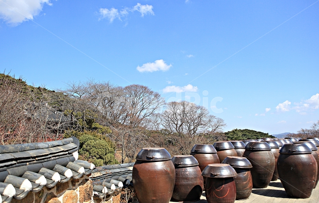 항아리,단지,양념,항아리뚜껑,풍경,자연,배경,한국전통,한국문화,korean traditional,korean culture,사물,물건,오브젝트,thing,object,matter