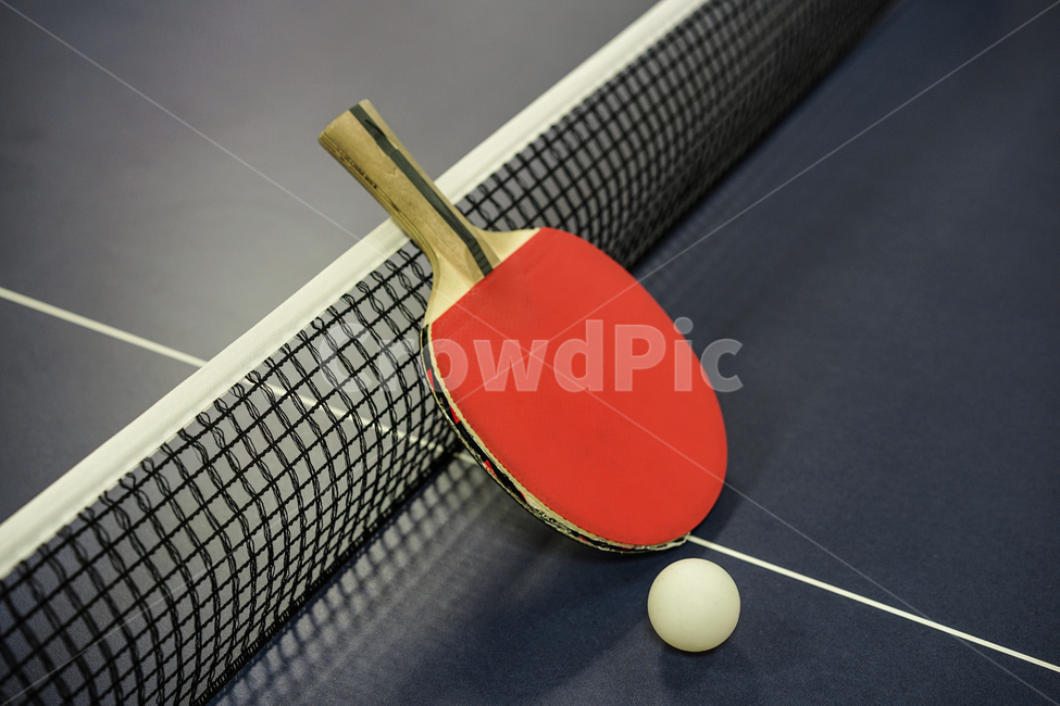 탁구,탁구대,스포츠,탁구라켓,탁구공,tabletennis,스포츠,레저,운동,sports,leisure,exercise,사물,물건,오브젝트,thing,object,matter