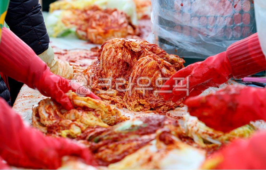 김치,김장,김장준비,김치공장,고추가루,공장,절임배추,배추김치,전통음식,겨울음식,야채,채식,발효,신선한,빨간,단체,봉사활동,행사,배추,고추장,양념,반찬,손,한식,한국음식,한국