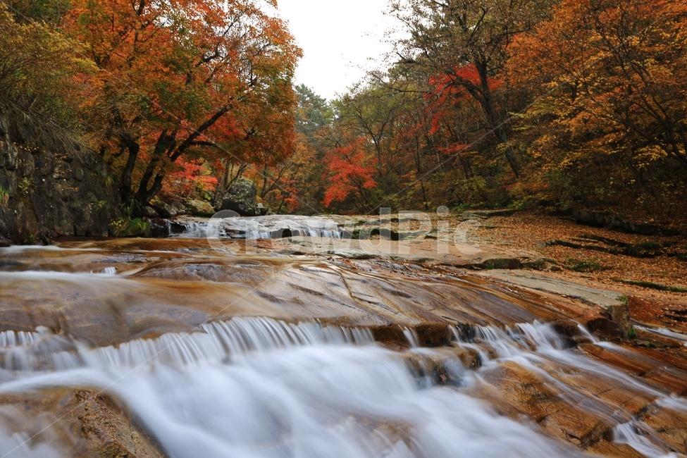 water,물,nature,outdoors,옥외,waterfall,폭포,tree,나무,plant,식물,leaf,잎,stream,흐름,물흐름,강원도,인제,방태산,방태산폭포,방태산가을,단풍,단풍잎,가을,추색,만추,낙엽,계곡,경치,경관,풍경,인제가을