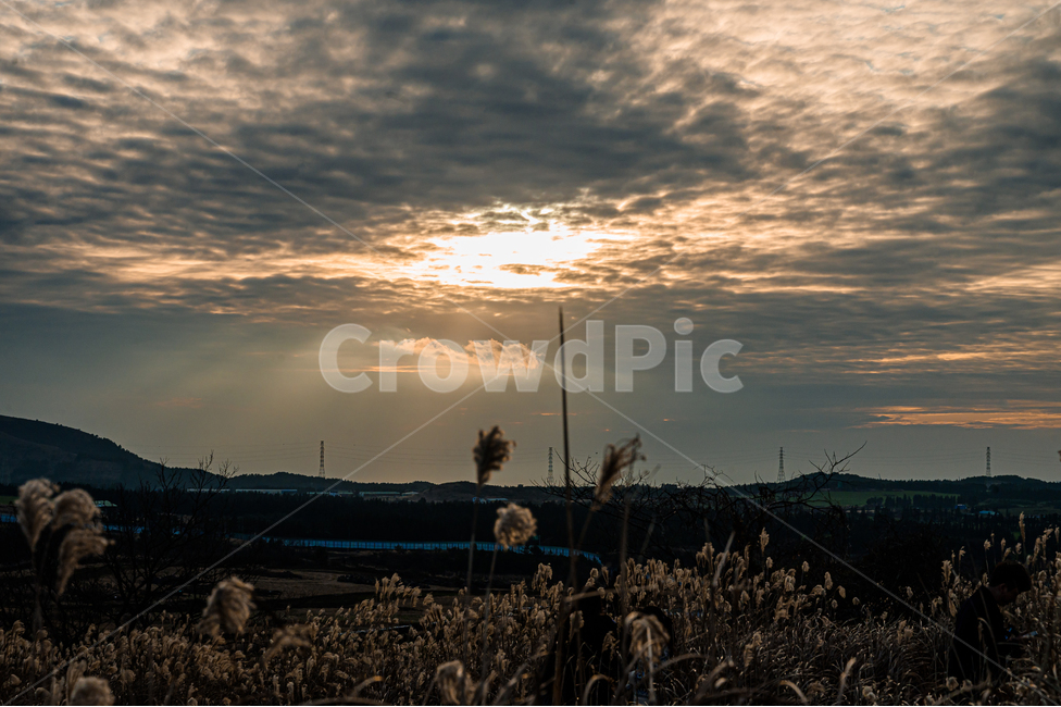노을,갈대,하늘,구름,감성,자연,풍경,nature,landscape