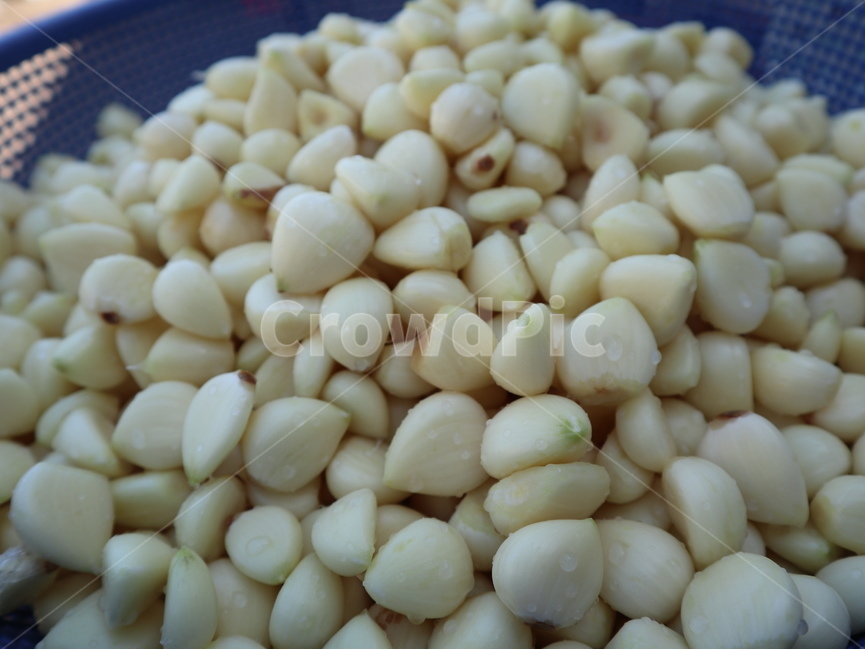 마늘,깐마늘,garlic,peeledgarlic,rootvegetables,뿌리채소,노랑,노란색,바구니,소쿠리,음식,식재료,요리,food,cook,meal,dishes,food reserves