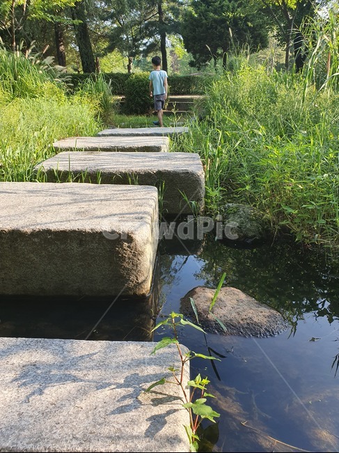 사람,공원,산책,human,인간,outdoors,옥외,water,물,막내,어린이,풀,나무,초록,자연