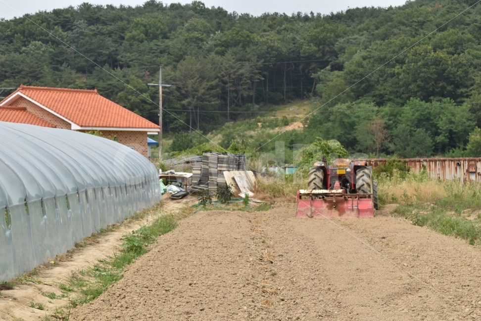 시골,비닐하우스,논,밭,고향,트렉터,경운기,산,농사,농부,향수,시골,마을,풍경,landscape,country,rural,town,산업,industry,industrial,농업,농사,agriculture,farming,farming industry