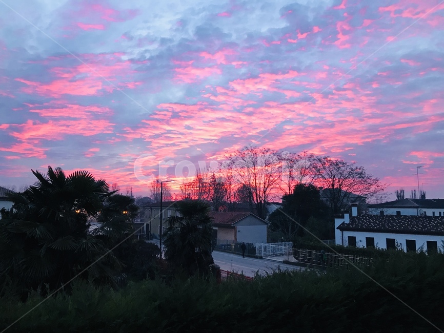 일출,여명,이탈리아,자연,outdoors,하늘,마을,나무,구름,붉음,새벽,redsky,sunrise,sky,town,italy,wiew,dawn,tree,landscape,nature