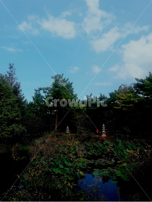 사찰,숲속,탑,숲,연못,고요함,자연,풍경,nature,landscape,한국자연풍경,한국자연경관,korea nature landscape,abies,아비,tree,나무,fir,전나무,plant,식물