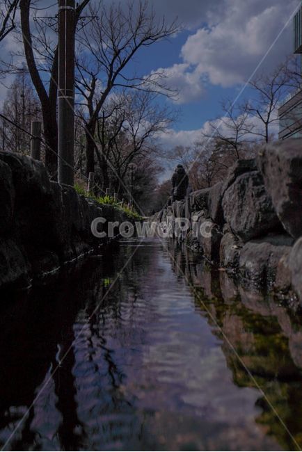 물,냇물,공원,자연,하늘,구름,나무,자연,풍경,nature,landscape