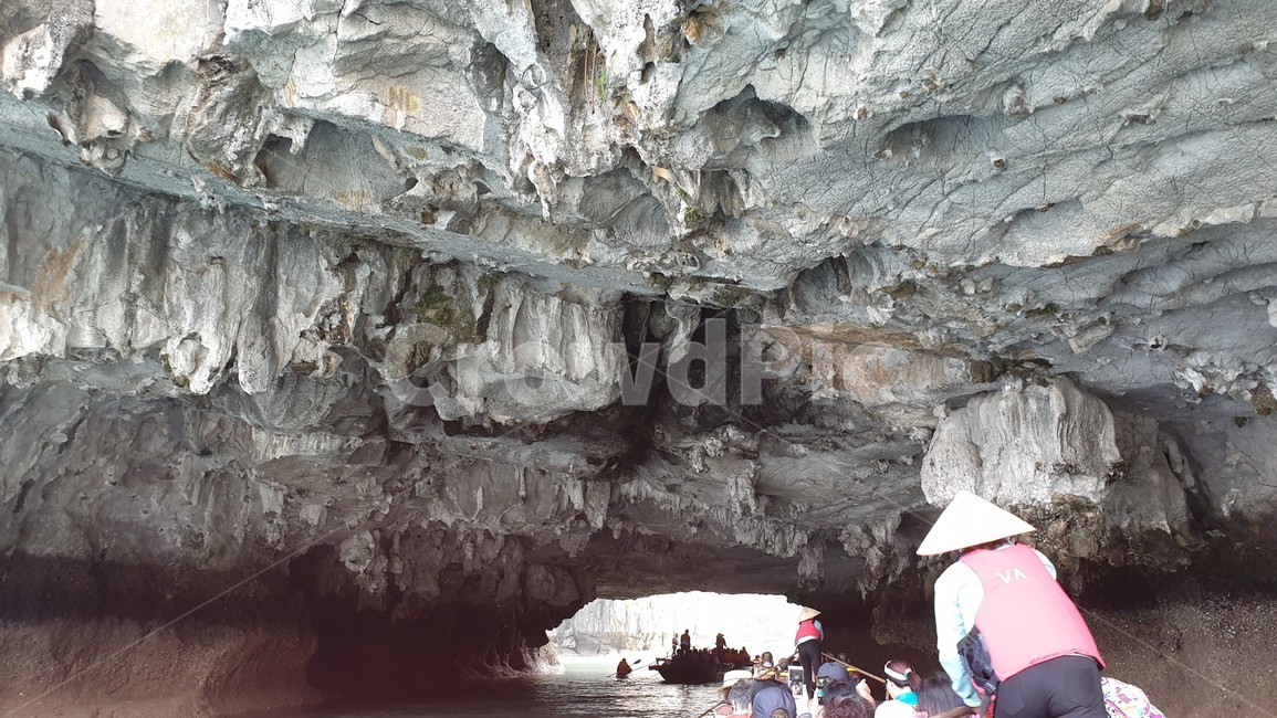 베트남,하롱베이,세계자연유산,자연,동굴,관광지