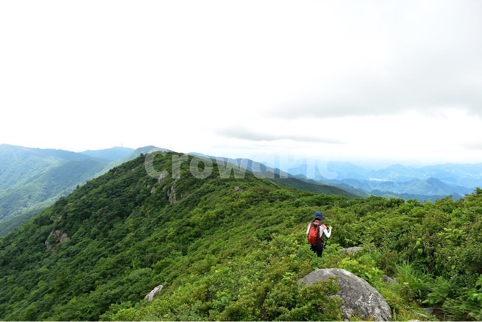 소백산,풍경,초록,자연,여름,경치,비경,등산,산행,힐링,아름다운,계절,명산,국립공원,nature,landscape,자연,풍경,nature,landscape,사람,인물,인간,human,person,outdoors,옥외,hill,언덕