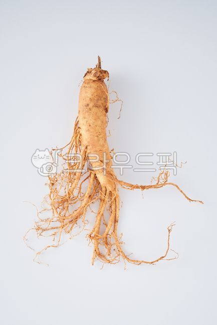 Hanppuri,Ginseng 6 years old,5 year old ginseng root,root,Fresh ginseng,Geumsan Ginseng,Ginseng