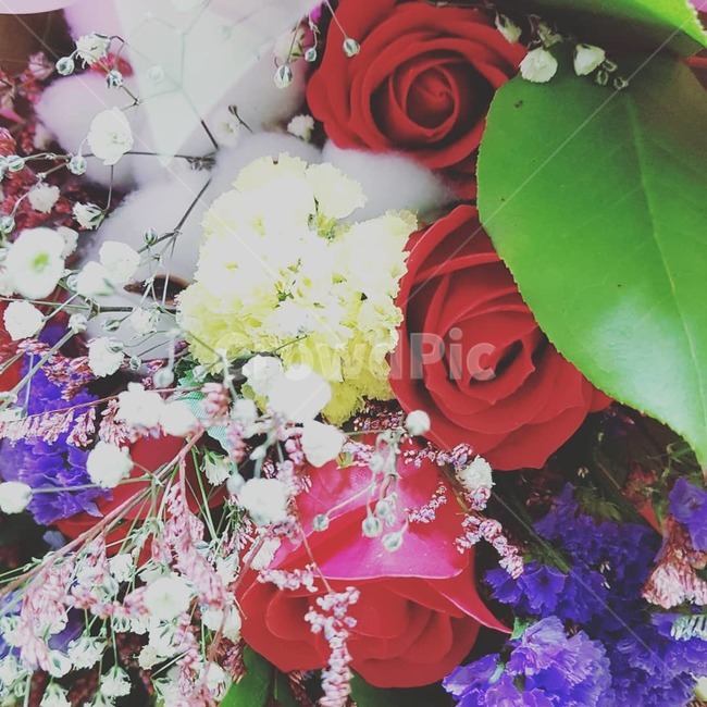 꽃다발,장미,입학식,선물,꽃,꽃,flower