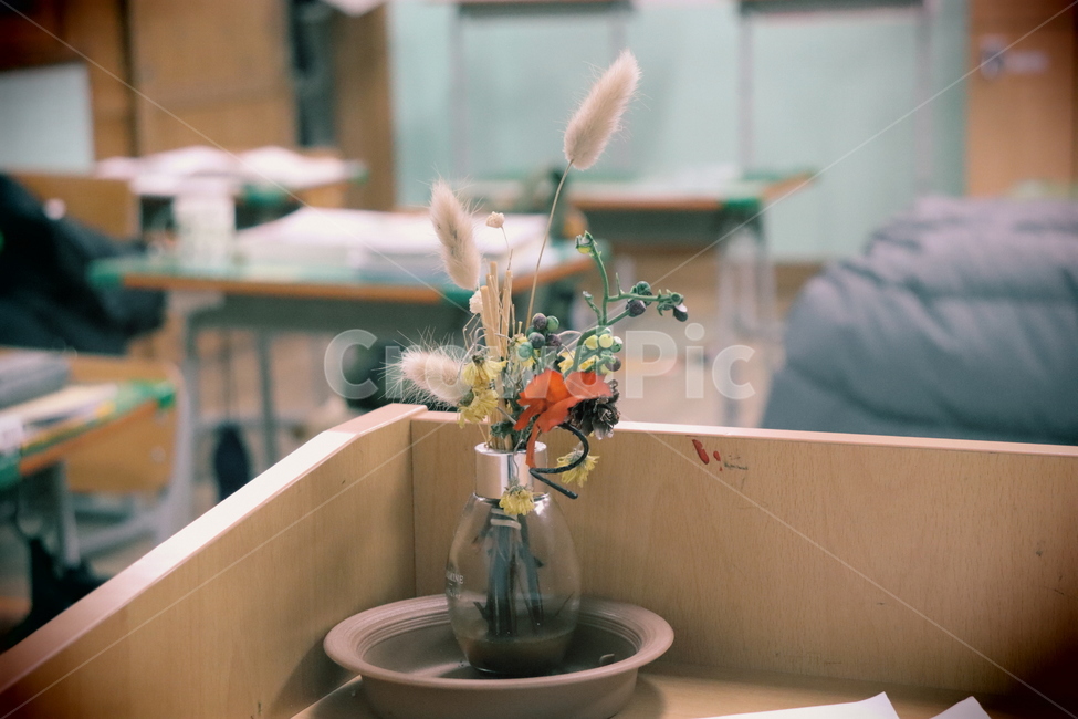 식물,꽃,flower,blossom,디퓨저