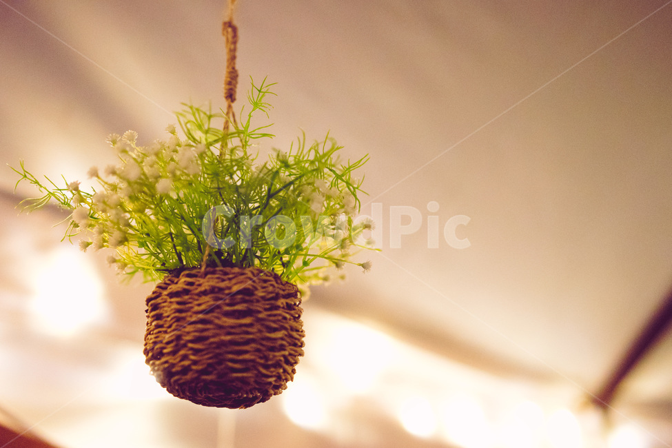 식물,꽃,장식물,장식,모형,식물,자연,plants,nature,실내용화초,화분,화초,house plant,감성,sensible,feeling,인테리어,실내디자인,interior design