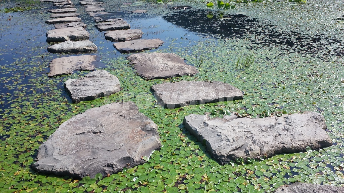 연못,path,판석,자연,풍경,flagstone,slate,슬레이트
