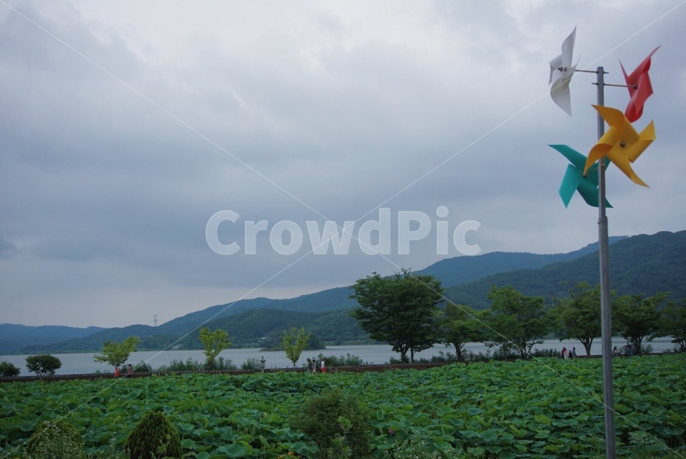 흐린날씨,바람개비,강가풍경,cloudy,windmill,pinwheel