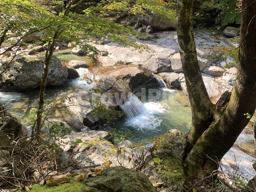 자연,폭포,산림,숲,계곡,water,nature,outdoors,흐름,stream,작은만,자연,풍경,nature,landscape,물,옥외,creek,작은 만