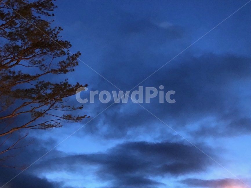 하늘,구름,새벽,풍경,소나무,sky,cloud,배경,자연,풍경,nature,landscape,outdoors,옥외,weather,날씨