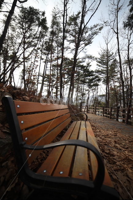 벤치,의자,나무,공원,하늘,감성,가을,계절,fall,autumn,season,겨울,winter,furniture,가구