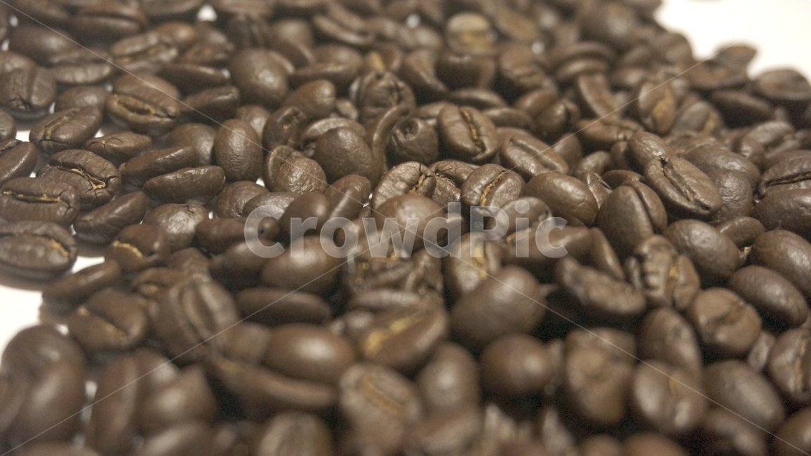 원두,원두커피,로스팅,커피,cafe,드립커피,스코트레버러토리,워시드방식,커피,카페,coffee,cafe