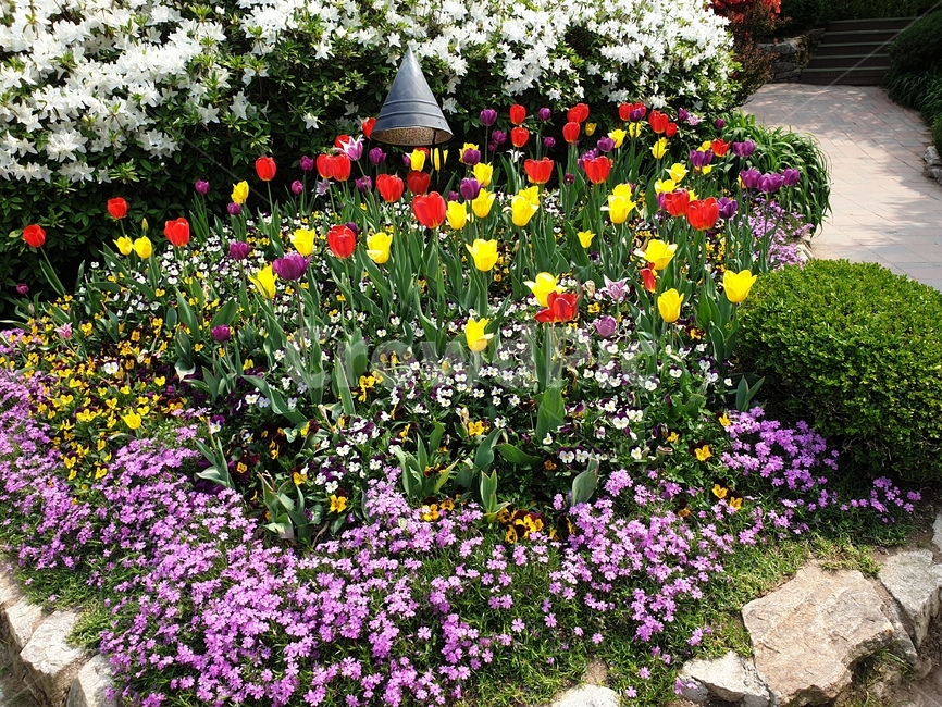 plant,식물,flower,꽃,blossom,pottedplant,vase,병장식,화분,식물,자연,plants,nature,꽃,flower