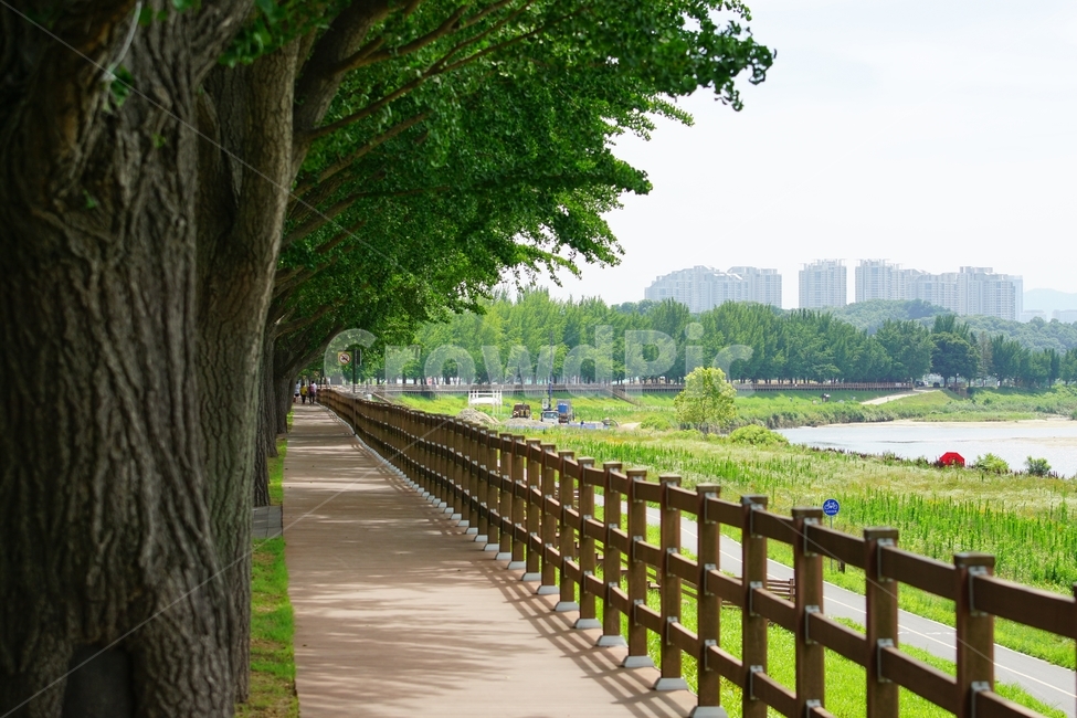 여름,강,초록,길,풍경,곡교천,자연,풍경,nature,landscape,휴식,힐링,rest,relaxation,healing,railing,난간,handrail,banister