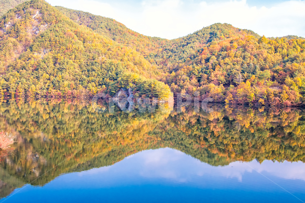 가을풍경,가을,단풍,자연,nature,반영,물,가을,계절,fall,autumn,season,자연,풍경,nature,landscape,한국자연풍경,한국자연경관,korea nature landscape