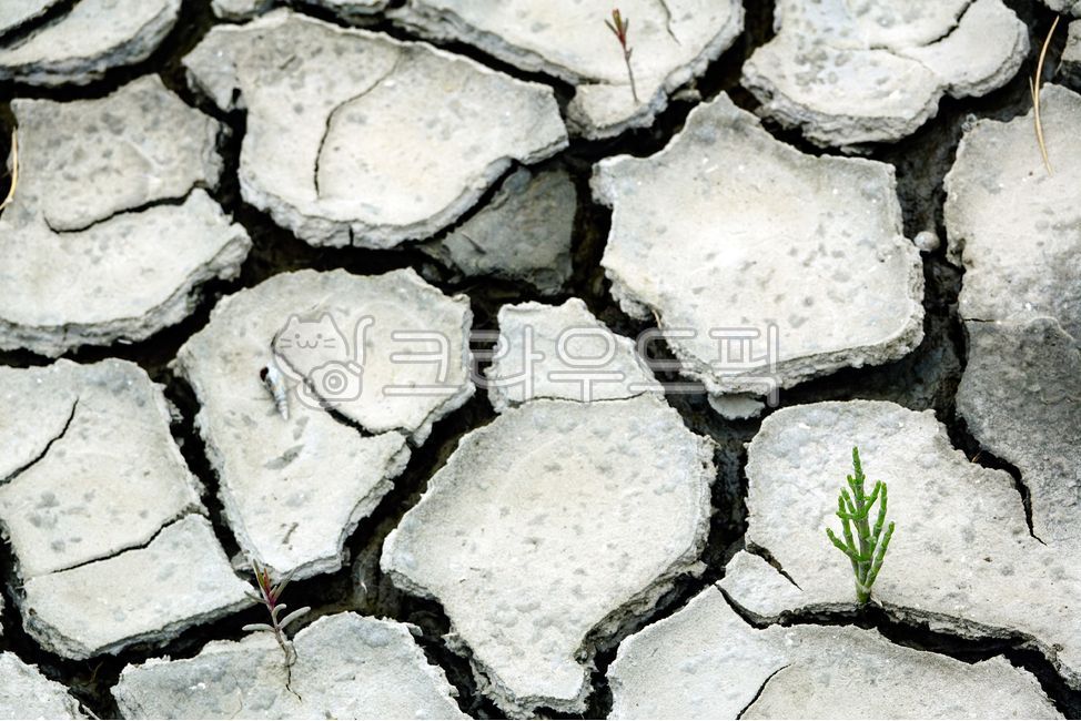damage,wait,soil,Mudflat,life,disaster,ecology,crack,natural disaster,weather,land,pain,water shortage,nature,dry,lack,environment,halophyte,drought,beach,ground,sugar,mud