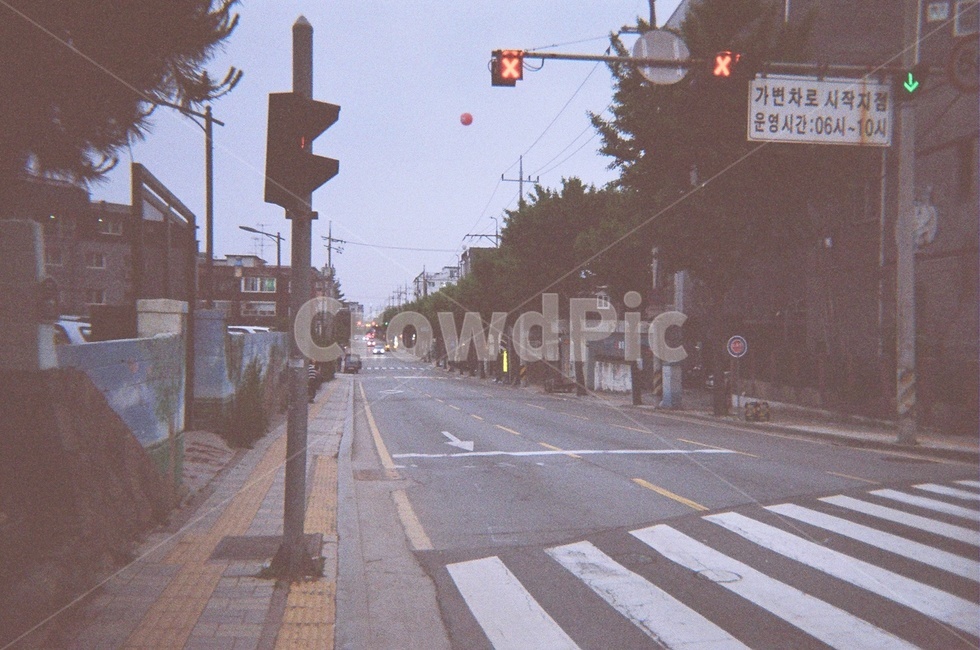 신호등,전멸등,아날로그,필름카메라,길,차도,교통,교통수단,traffic,transportation